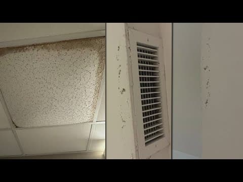 Mold concerns in Dilliard University dorms