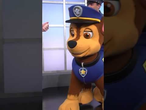 ‘Paw Patrol Live’ brings US tour to Bellco Theatre in Denver