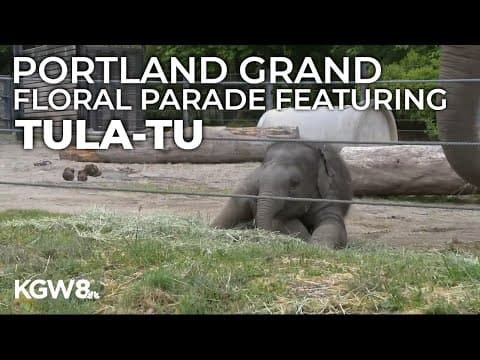 Oregon Zoo's baby elephant Tula-Tu named Grand Marshal of Rose Festival's Grand Floral Parade