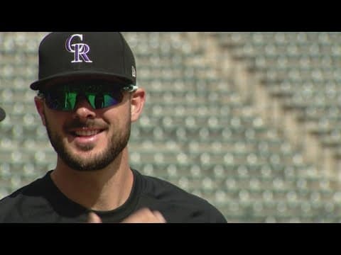 Colorado Rockies player's Lamborghini caught in theft ring