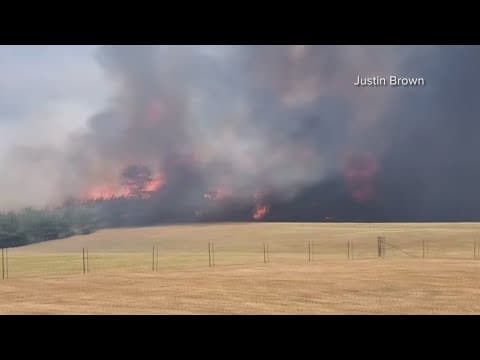 Flower farm in Tangipahoa Parish battling wildfires