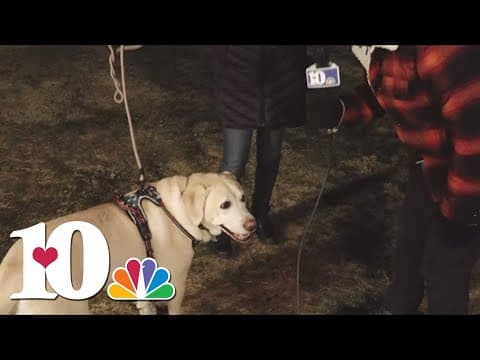 Travelers head out early to avoid the snow