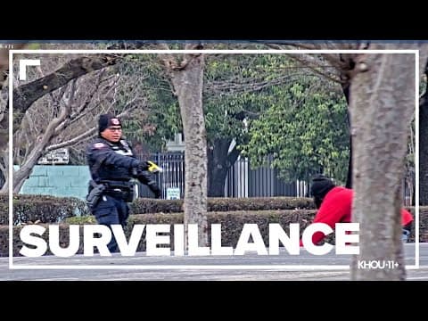 Surveillance video shows the moment a sexual assault suspect is arrested