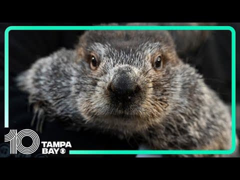 Groundhog Day 2024: Will Punxsutawney Phil see his shadow?