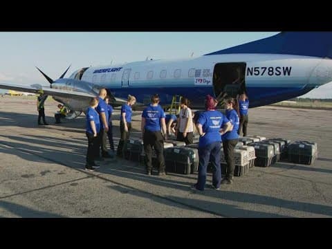 100+ rescued Beagles to arrive in San Diego from Virginia breeding facility