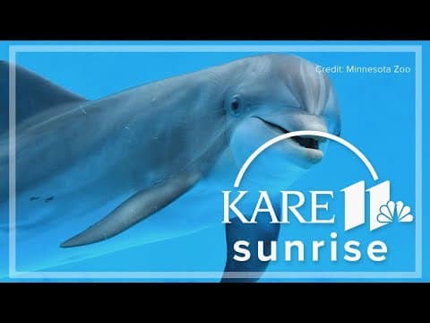 Staying in town over spring break? Check out these family-friendly activities