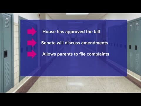 Texas Senate set to discuss bill banning DEI programs in public schools