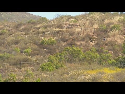 Heat wave scorches San Diegans through Wednesday