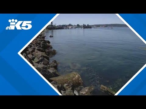 Popular beach walkway in Pierce County closed