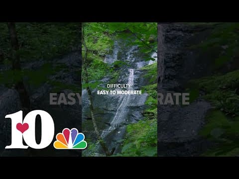 A hike on Porters Creek Trail in the Great Smoky Mountains