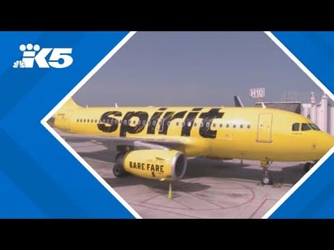 Spirit Airlines to furlough flight attendants