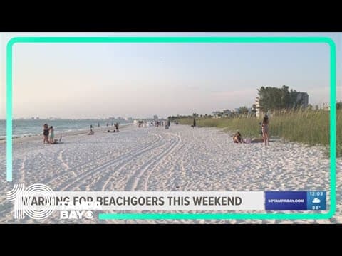 Tampa Bay law enforcement warn of beach restoration, extra patrols this Labor Day weekend