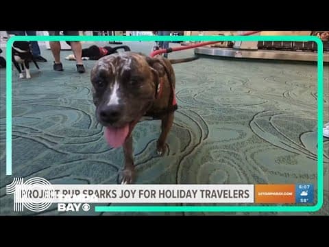 Project Pup sparks joy for holiday travelers