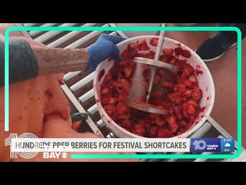 Hundreds prep berries for Florida Strawberry Festival shortcakes