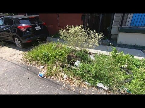 Questions surround New Orleans catch basins as threat of heavy rain looms