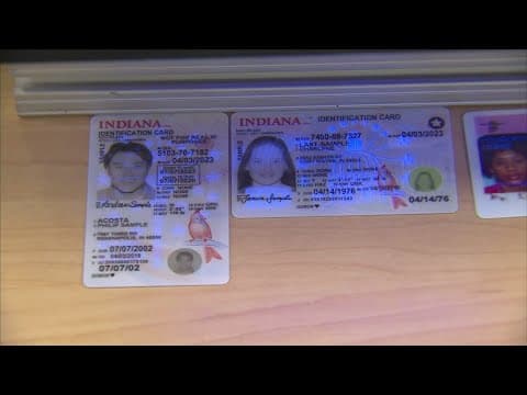 ACLU sues over immigrant driver's licenses