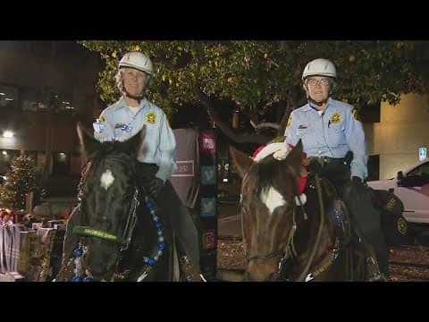 San Diego County Sheriff's Department share safety tips during the holiday watch