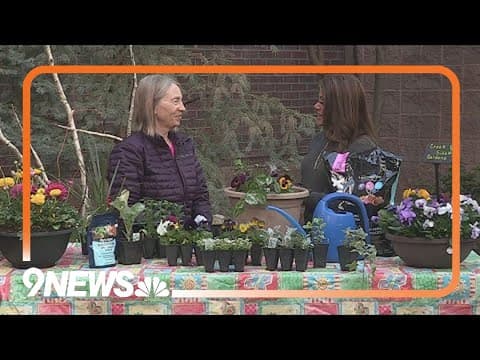 National Gardening Month: Planting annuals on your porch