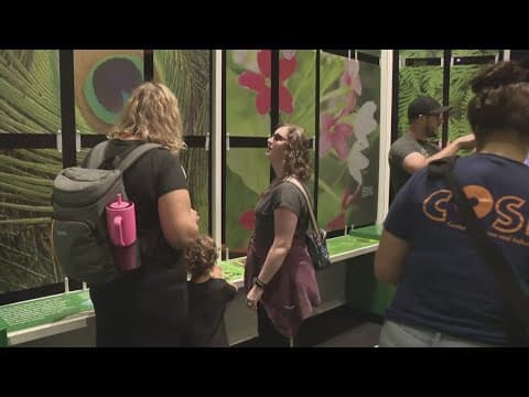 COSI helping people who are colorblind with special glasses