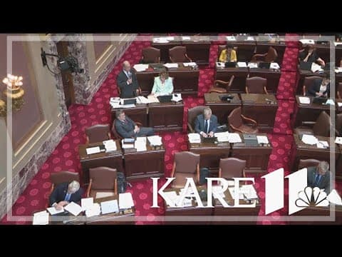 Minnesota Senate debates public safety bill