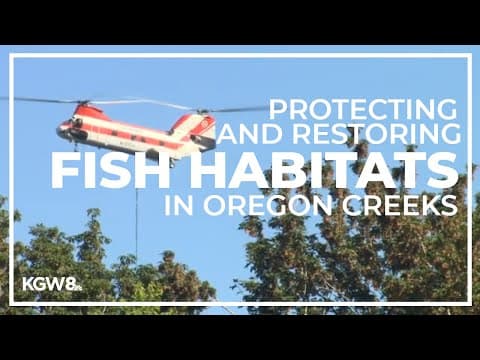 Metro creates fish-friendly logjams in Oregon creeks