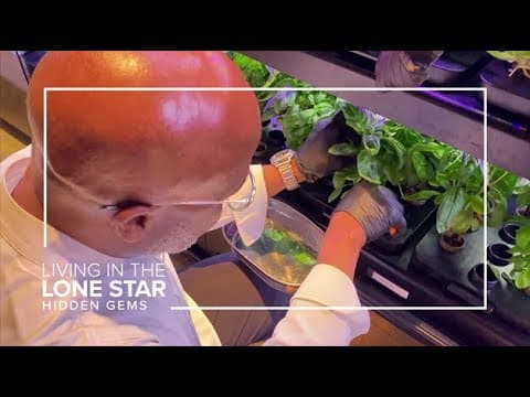 'Can’t get any fresher' | Houston hotel's garden grows produce for its restaurants