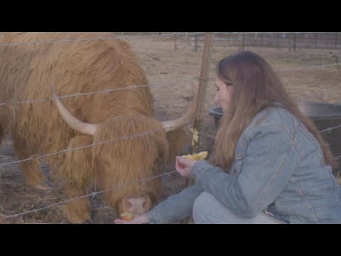 Skagit County farmers are fed up, fighting Seattle City Light’s Skagit River dam programs