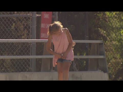 Community rallies to support mother of Santana High shooting victim | How to help