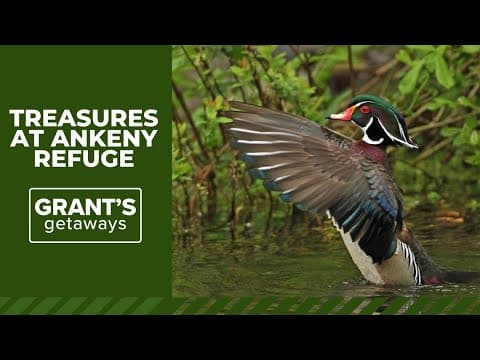 Ankeny National Wildlife Refuge is a birder's paradise