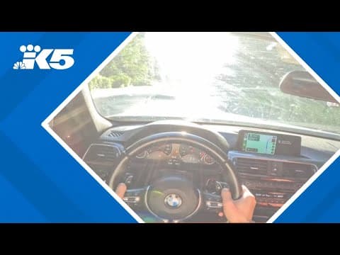 WSP: Driver filmed himself driving over 150 mph before crash into tree