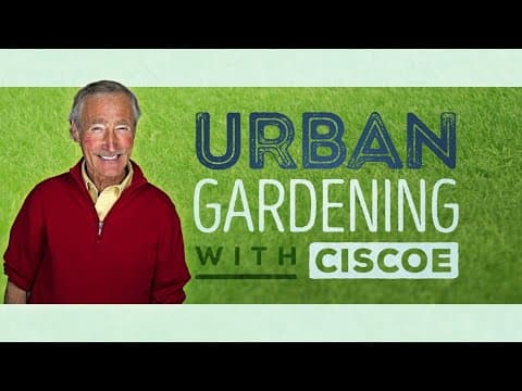 GREEN SPACE in the Big City! | Urban Gardening with Ciscoe | Full Episode