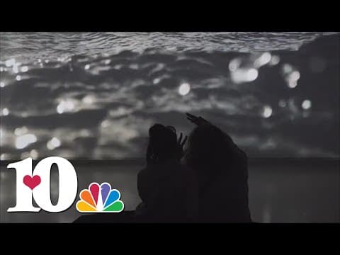 Knoxville Museum of Art hosts event for deaf community with accessible tours