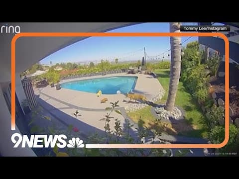 Mötley Crüe drummer's dog snatched by coyote