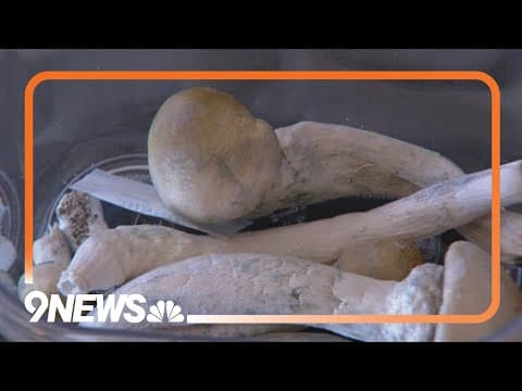 State leaders prepare for state-sanctioned psychedelic mushroom healing centers opening soon