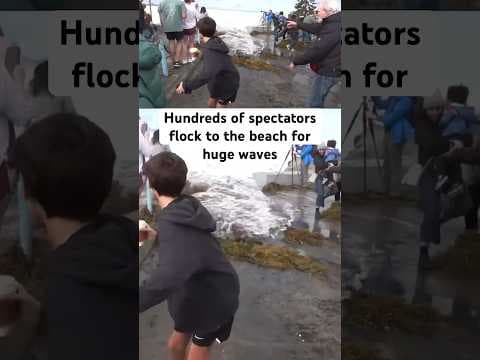 Huge waves bring spectators to San Diego beaches. #beach #california #waves #weather #ocean #surf