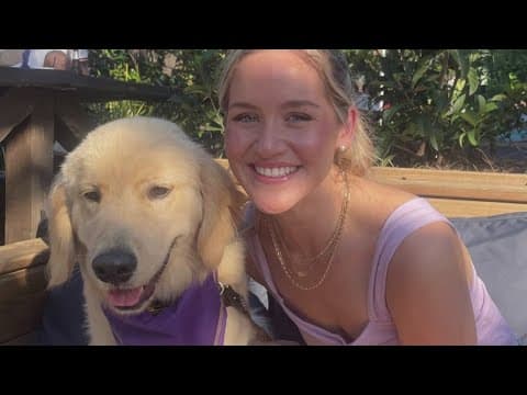 WWL Spotlight: Reward for missing service dog and pet after car crash in Metairie