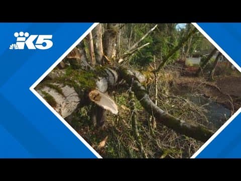 Puget Sound Energy working to restore power to 386,000 customers after windstorm