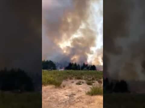 ‘Many' homes threatened by large brush fire in Mason County that’s burned 200+ acres #breaking