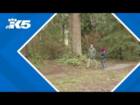 'Aggressive' owl attacking visitors at Everett park, county officials say