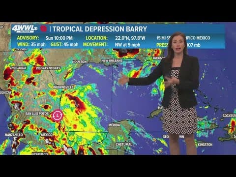 Tropical Weather Impact: Barry makes landfall as tropical depression on Mexico's coast