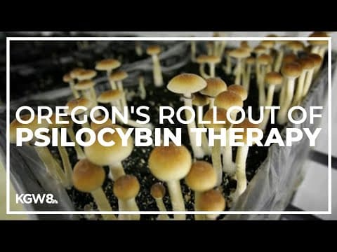 Oregon's rollout of psilocybin therapy has been slow, but for good reason