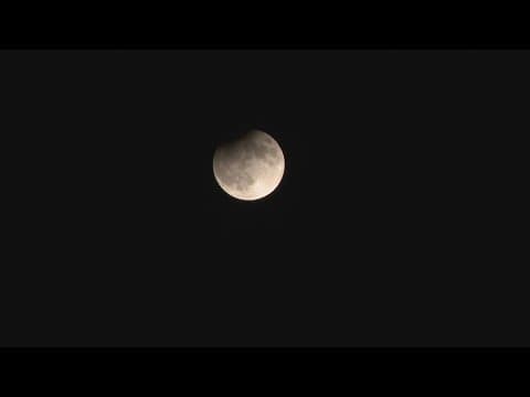 Super full harvest moon, partial lunar eclipse visible over Houston skies