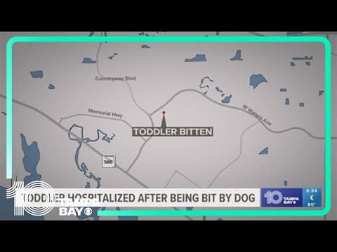Toddler hospitalized after being bit by dog
