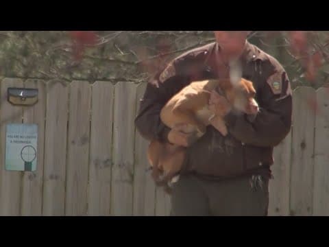 Charges filed against man in Delaware County animal cruelty investigation