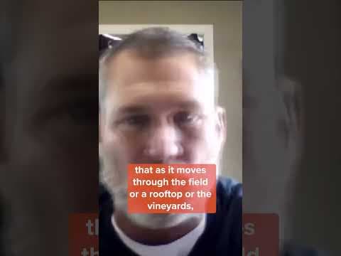 Minnesota farmers use lasers to fend off Avian Flu