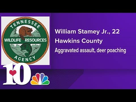 TWRA: Hawkins Co. man convicted of poaching deer during closed season