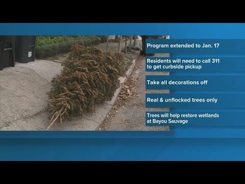 Christmas tree recycling program extended in New Orleans