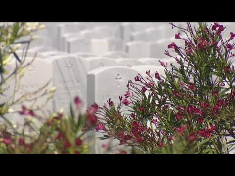 California legalizes human composting as an eco-friendly burial option