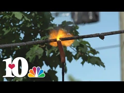 Here's why you never want to touch a live power line!