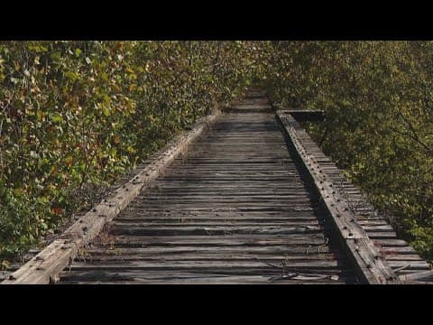 Delphi jurors begin deliberations